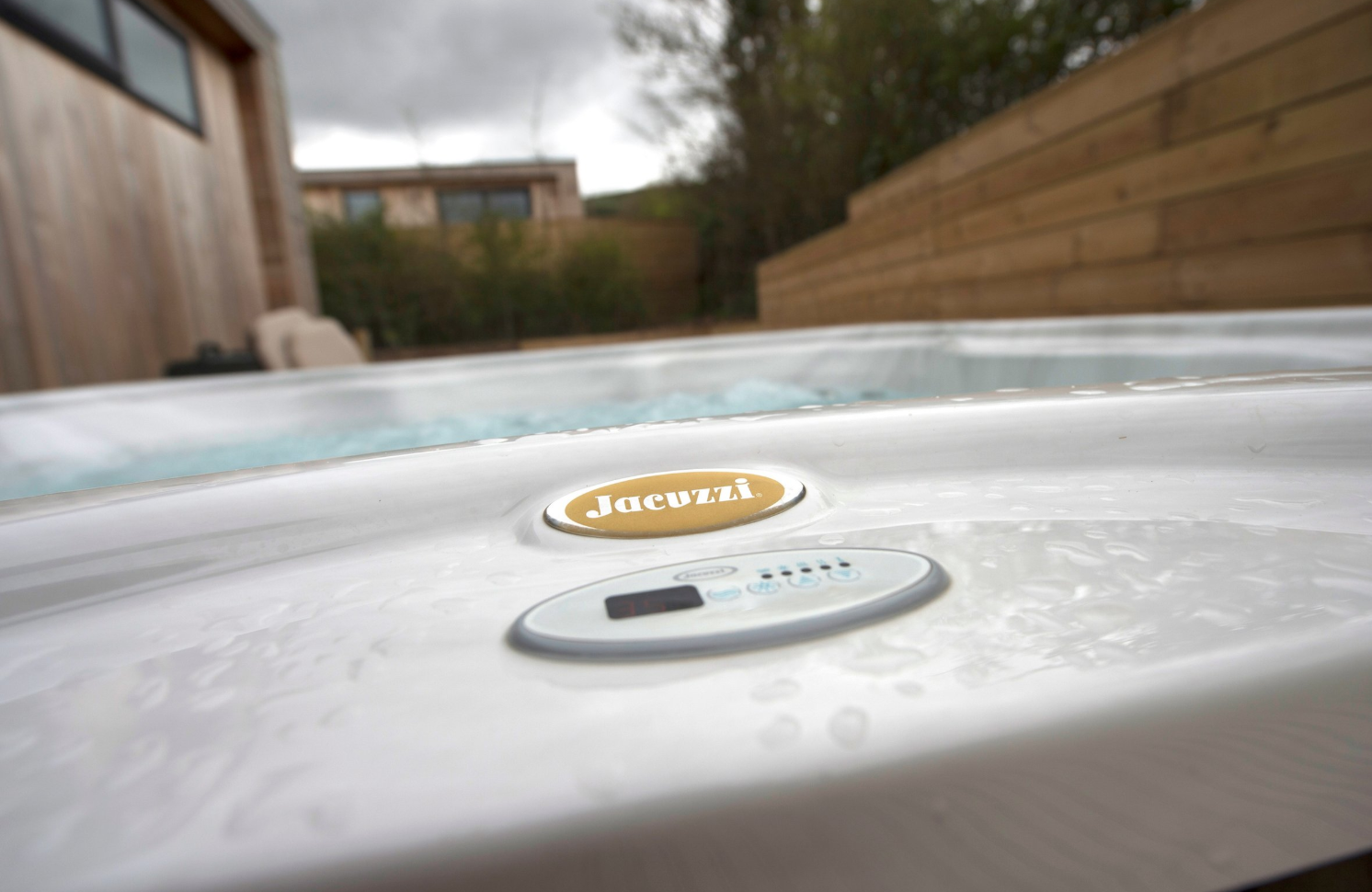 Jacuzzi controls and shell detail